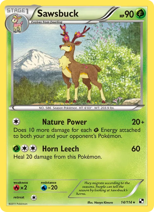 Sawsbuck, Black & White