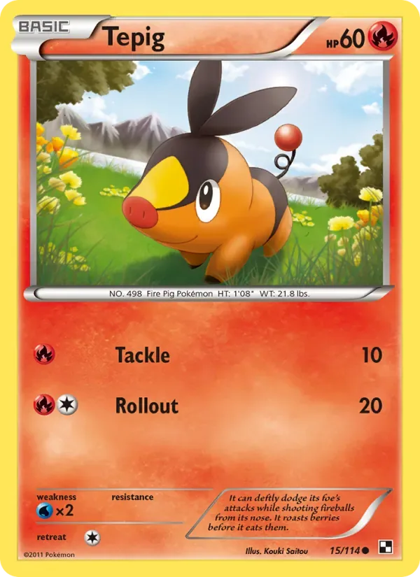 Tepig, Black & White