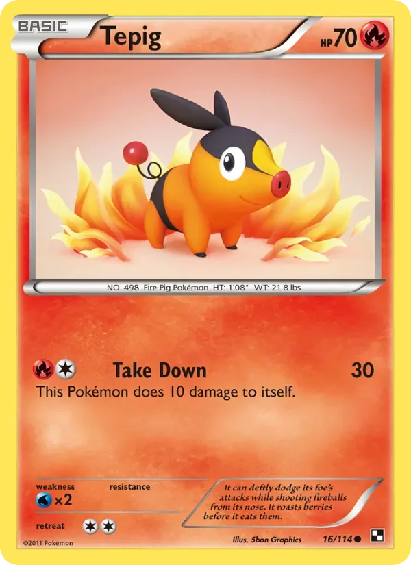 Tepig, Black & White