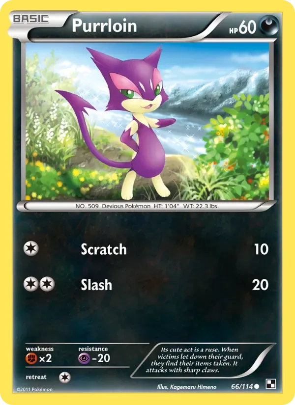 Purrloin, Black & White