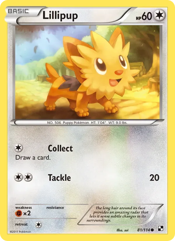 Lillipup, Black & White