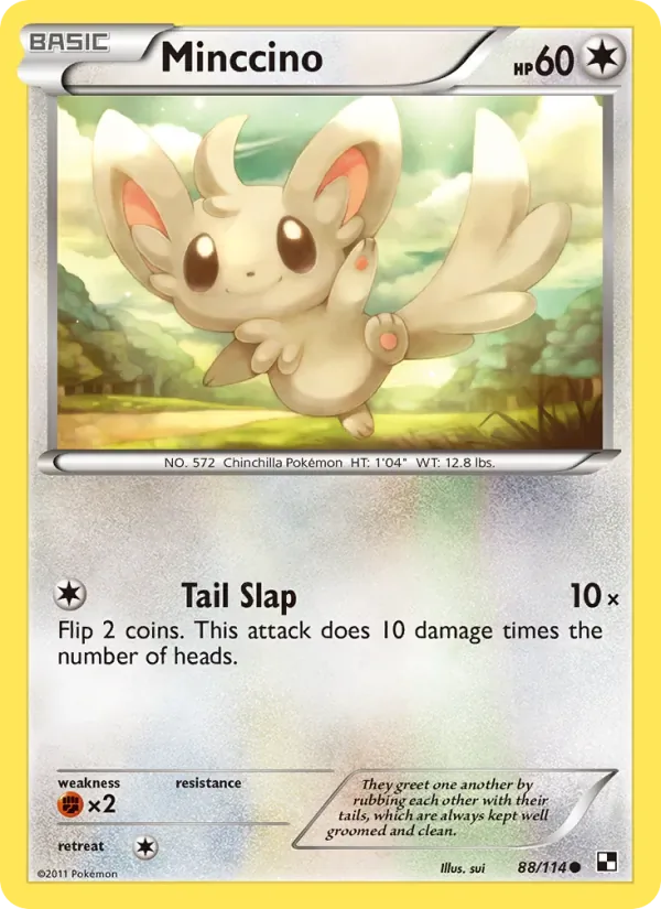 Minccino, Black & White