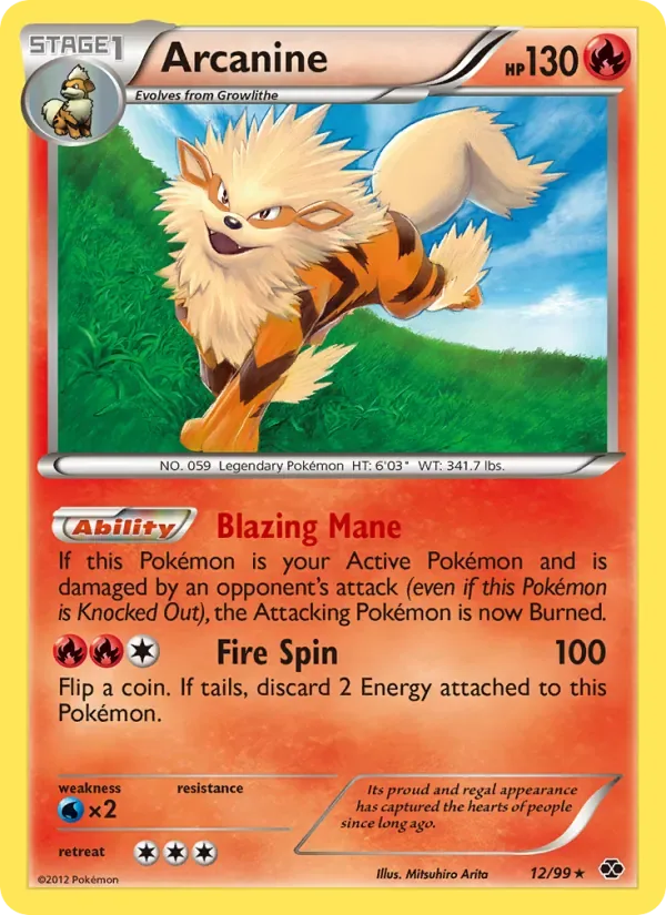 Arcanine, Next Destinies