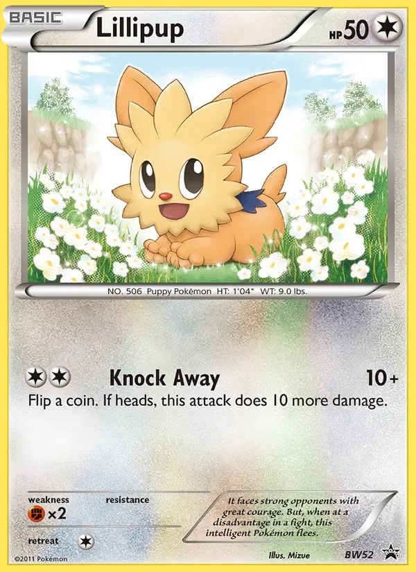 Lillipup, BW Black Star Promos