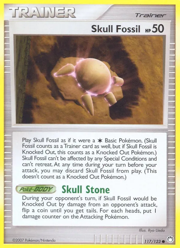 Skull Fossil, Mysterious Treasures