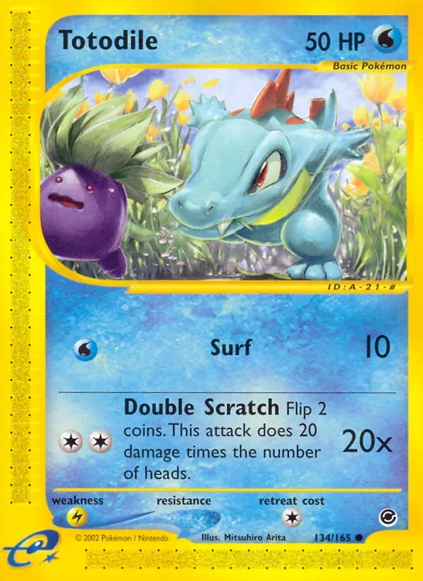 Totodile, Expedition Base Set