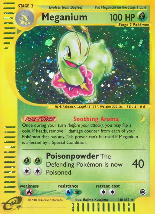 Meganium, Expedition Base Set
