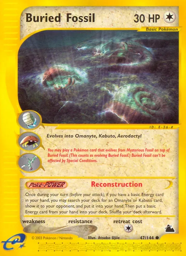 Buried Fossil, Skyridge