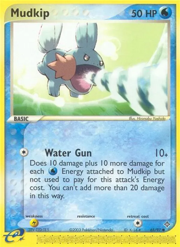 Mudkip, Dragon