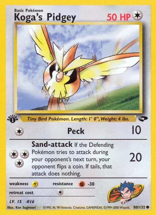 Koga's Pidgey, Gym Challenge