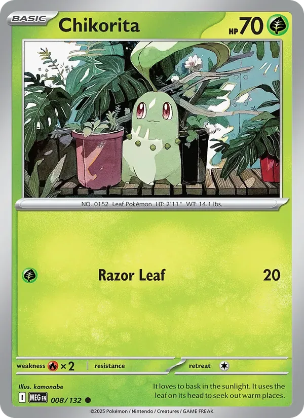 Chikorita, Mega Evolution