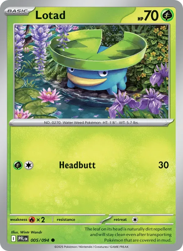 Lotad, Phantasmal Flames