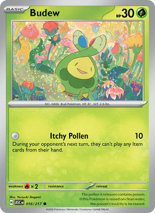 Budew, Ascended Heroes