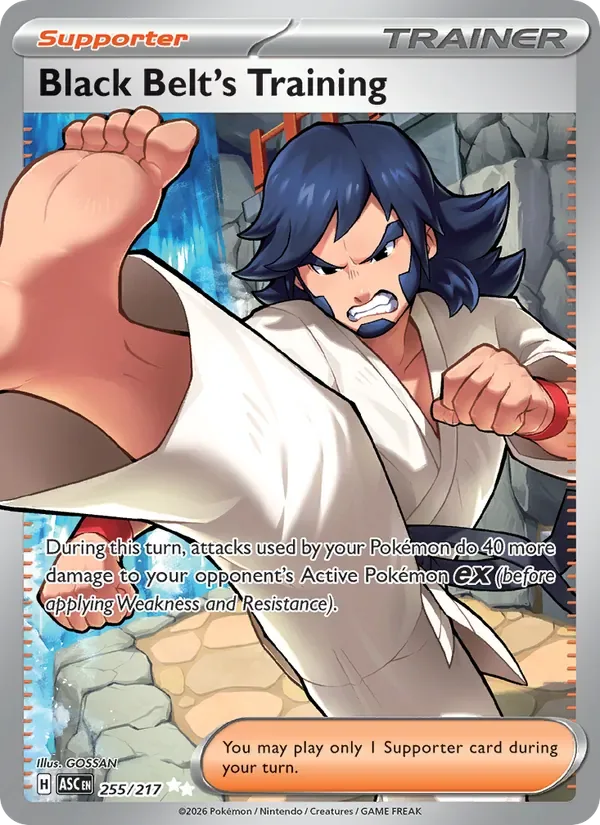 Black Belt's Training, Ascended Heroes