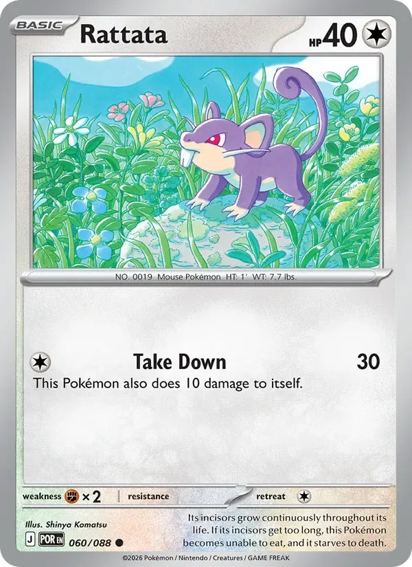 Rattata, Perfect Order