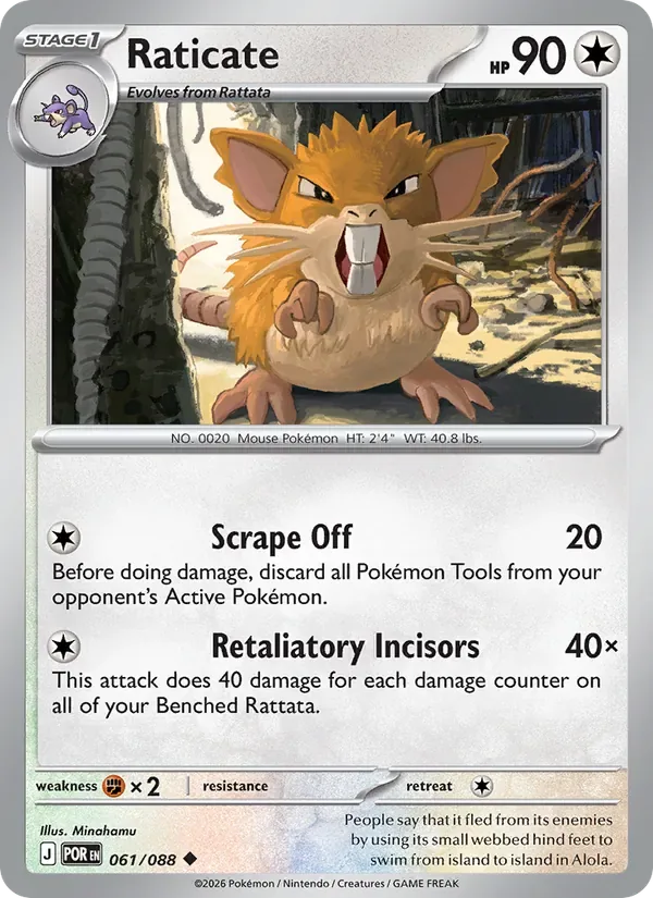 Raticate, Perfect Order