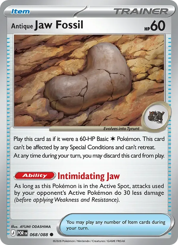 Antique Jaw Fossil, Perfect Order