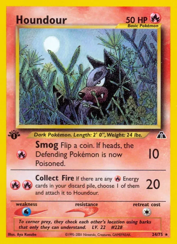 Houndour, Neo Discovery