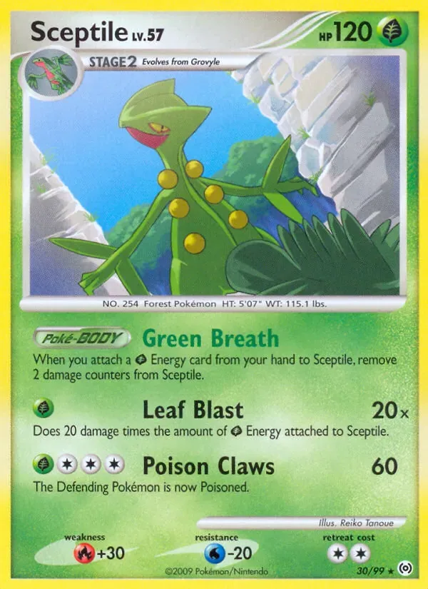 Sceptile, Arceus