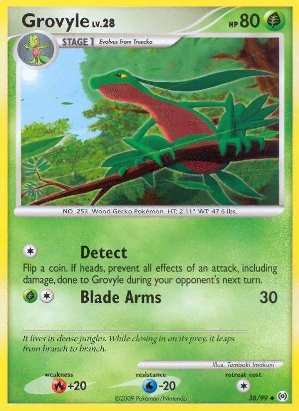 Grovyle, Arceus