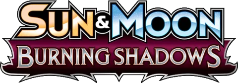 Burning Shadows