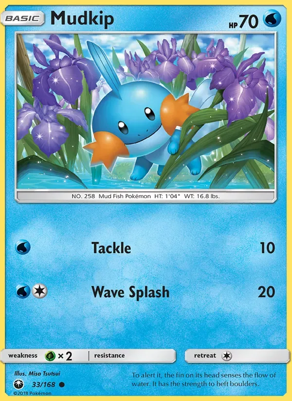Mudkip, Celestial Storm