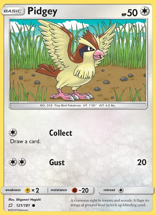 Pidgey, Team Up