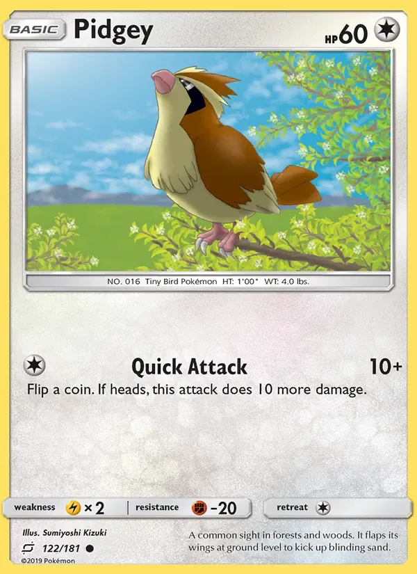 Pidgey, Team Up