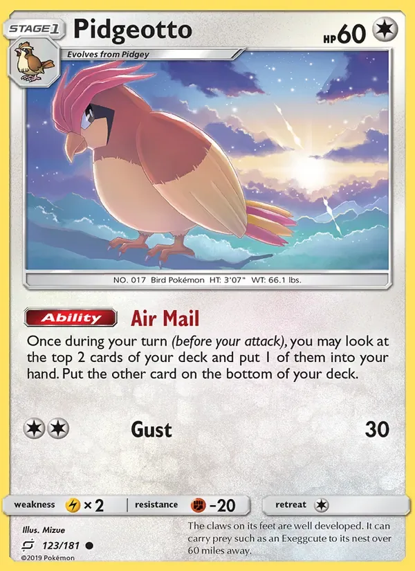 Pidgeotto, Team Up