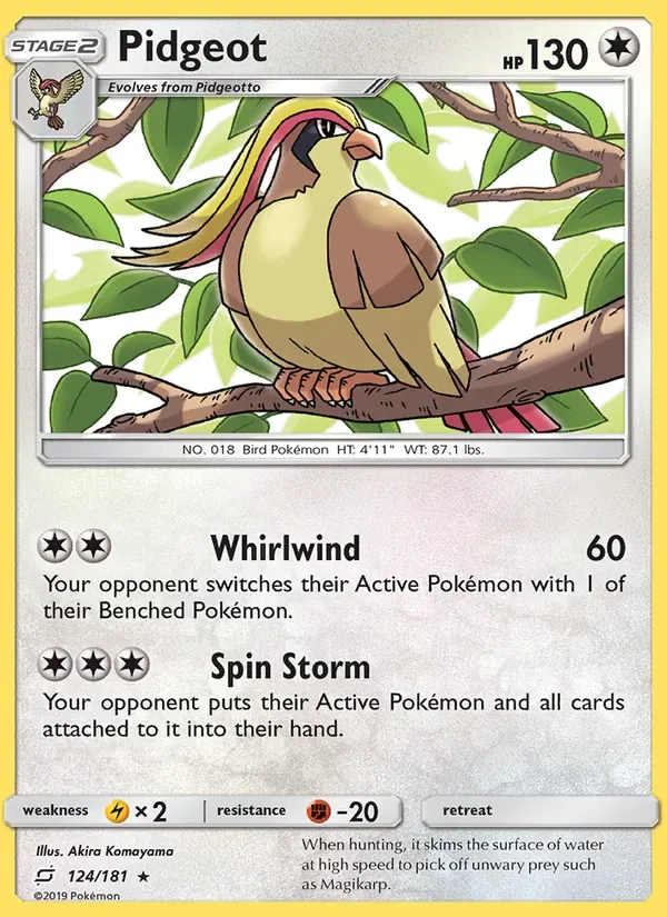Pidgeot, Team Up
