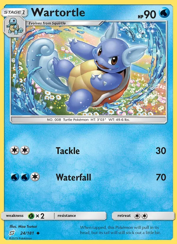Wartortle, Team Up
