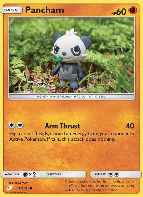 Pancham, Team Up