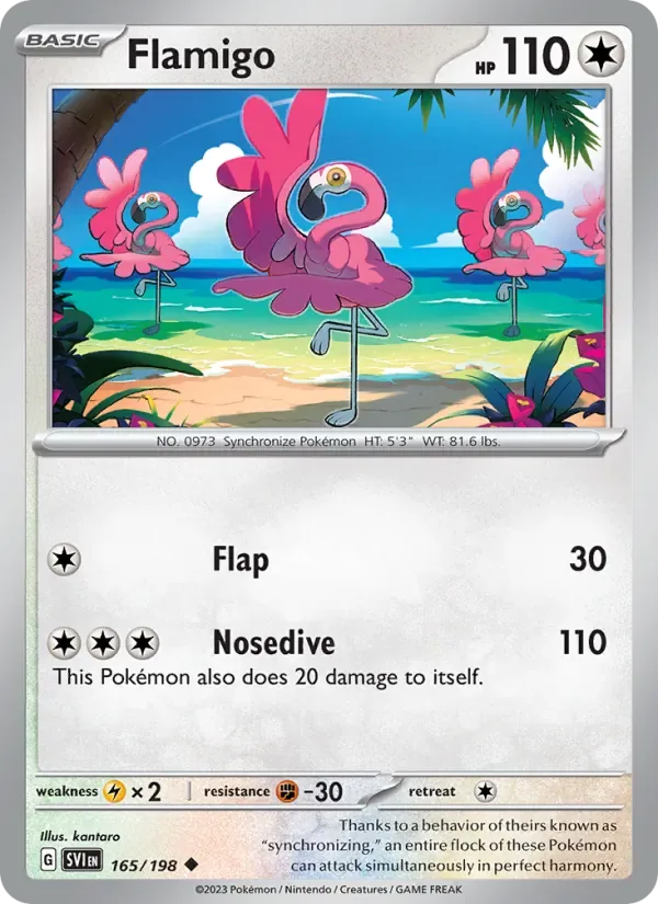 Flamigo, Scarlet & Violet
