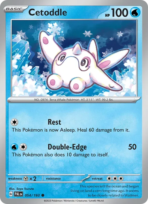 Cetoddle, Paldea Evolved