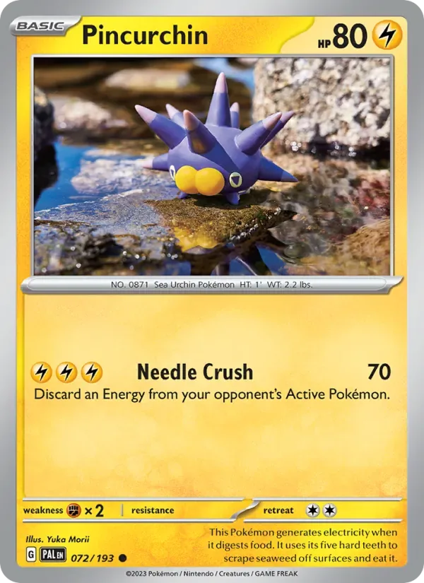 Pincurchin, Paldea Evolved