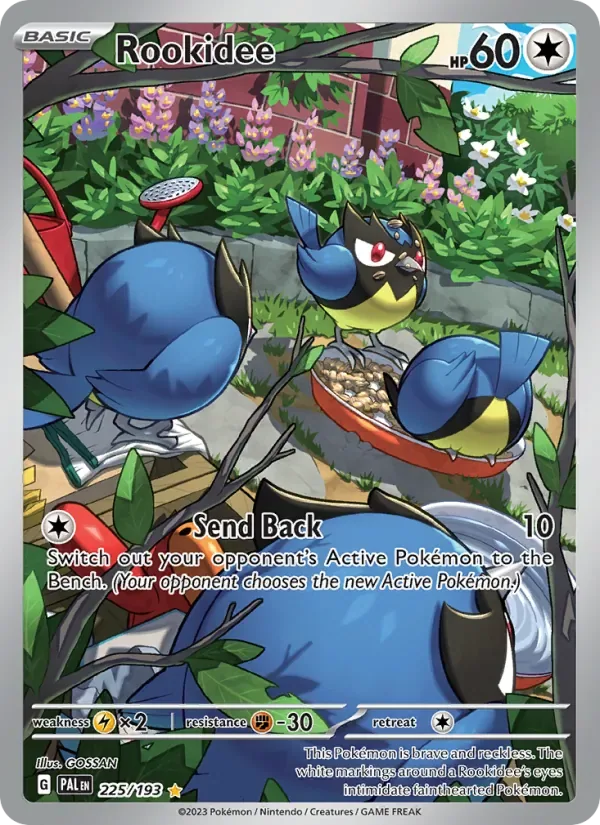Rookidee, Paldea Evolved