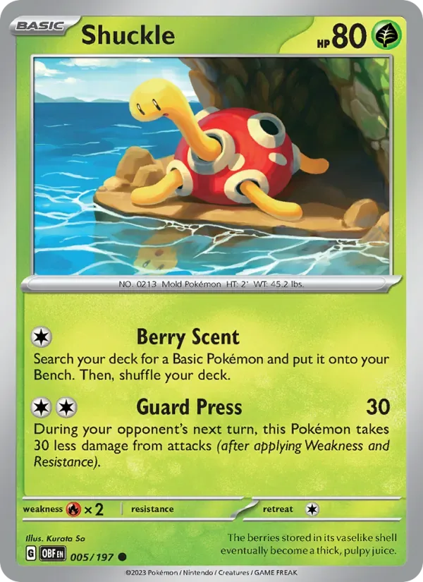 Shuckle, Obsidian Flames