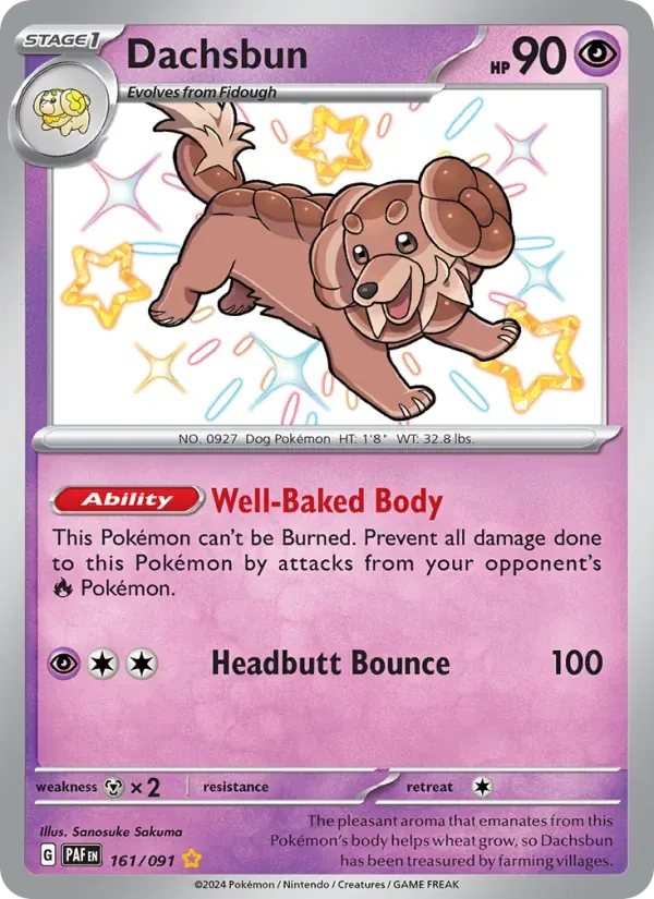 Dachsbun, Paldean Fates