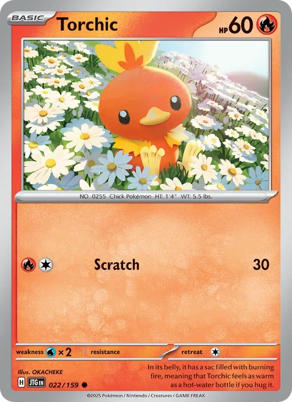 Torchic, Journey Together