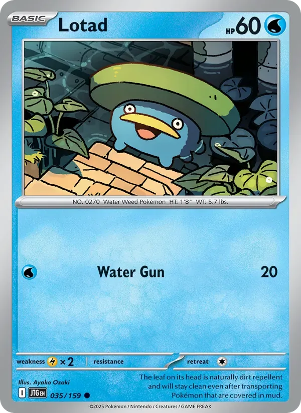 Lotad, Journey Together