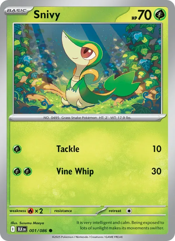 Snivy, Black Bolt