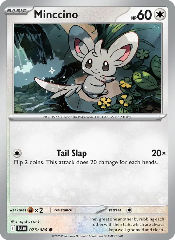 Minccino, Black Bolt