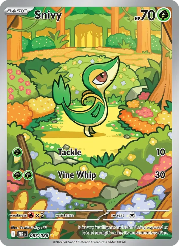 Snivy, Black Bolt