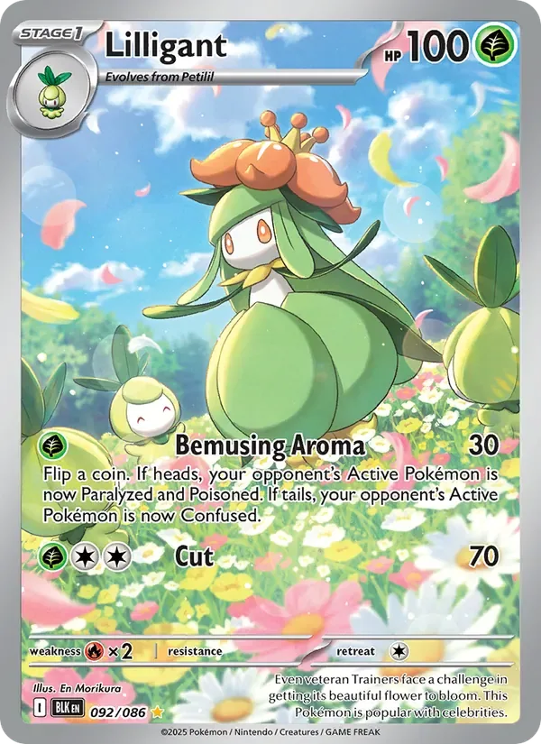 Lilligant, Black Bolt
