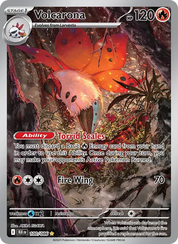 Volcarona, Black Bolt