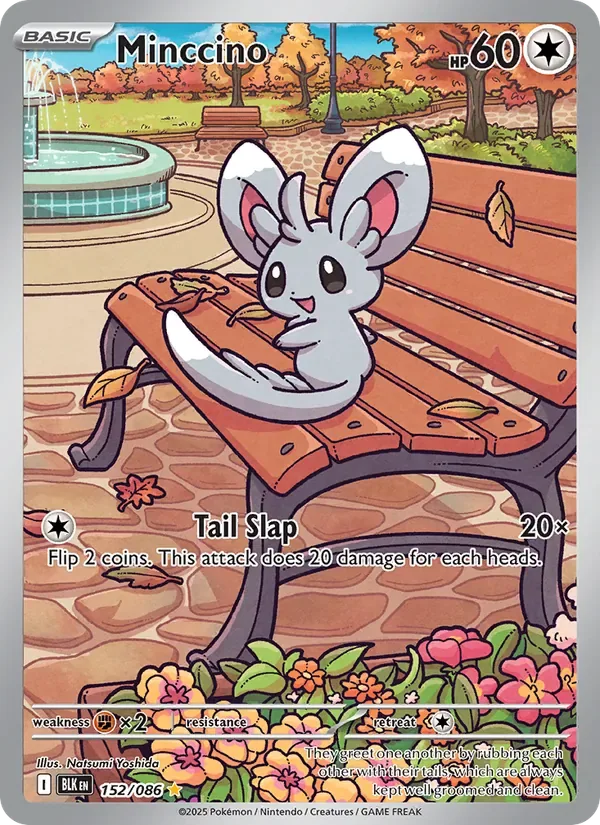 Minccino, Black Bolt