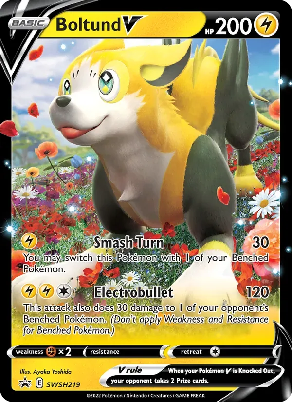 Boltund V, SWSH Black Star Promos