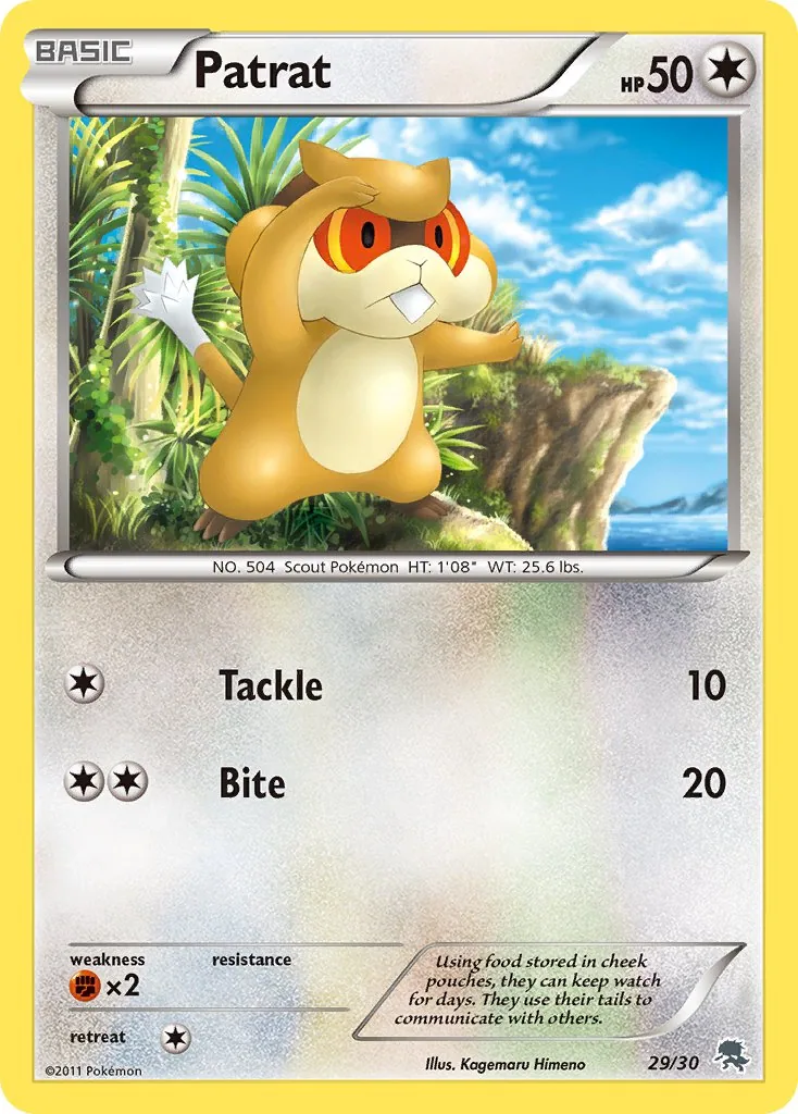 Patrat, BW trainer Kit (Zoroark)