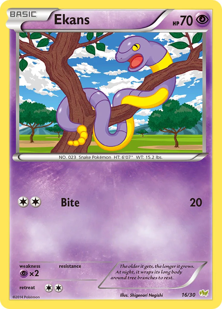 Ekans, XY trainer Kit (Noivern)