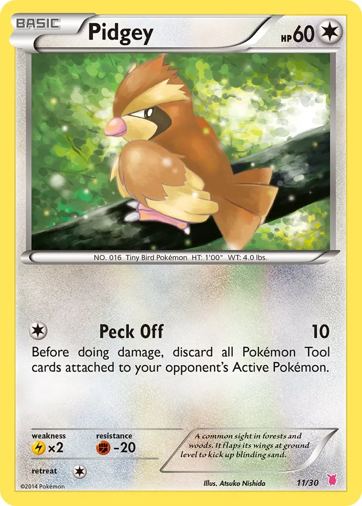 Pidgey, XY trainer Kit (Wigglytuff)